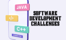 Software development